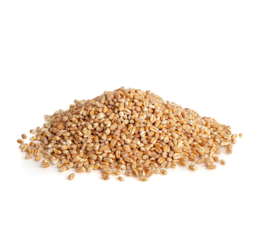 INTER VALLO COMMODITY DMCC