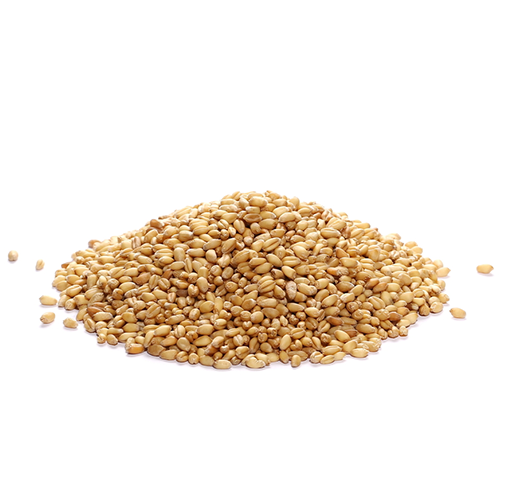INTER VALLO COMMODITY DMCC