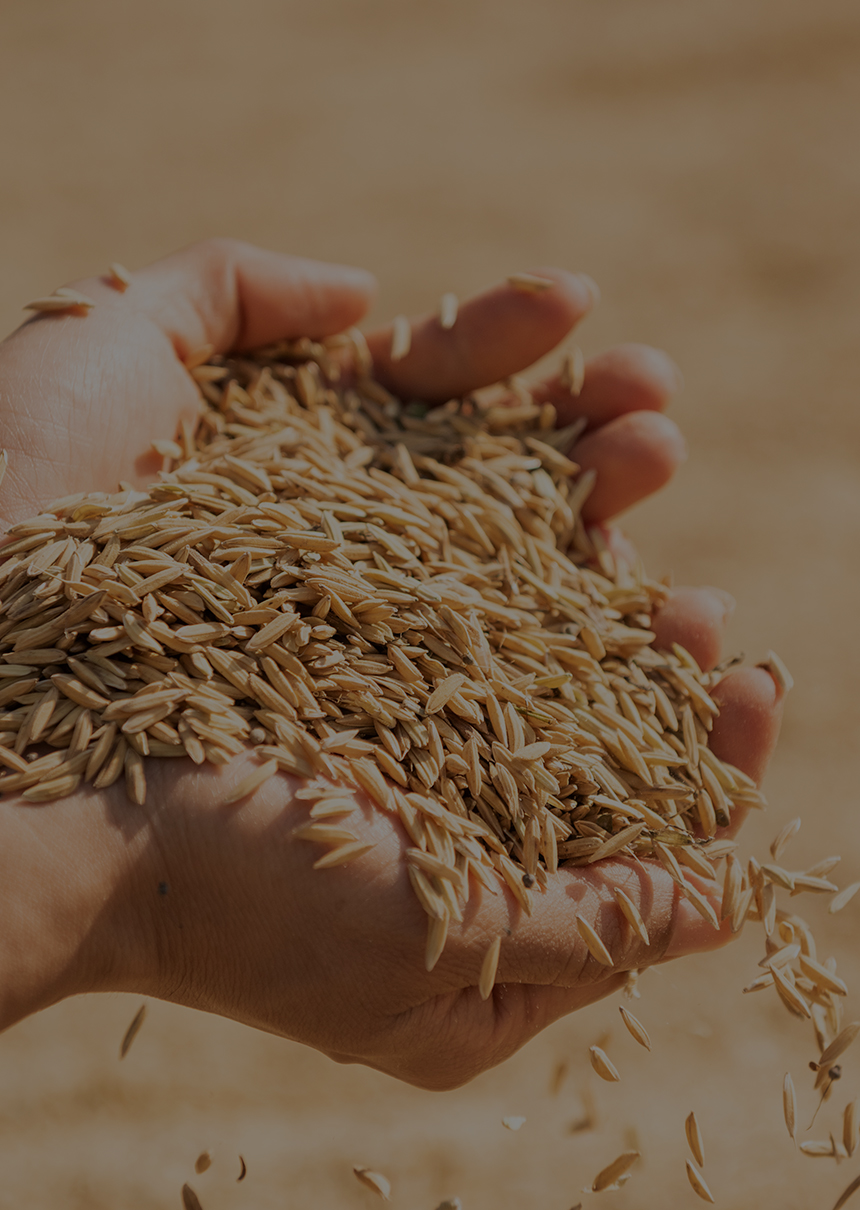 INTER VALLO COMMODITY DMCC