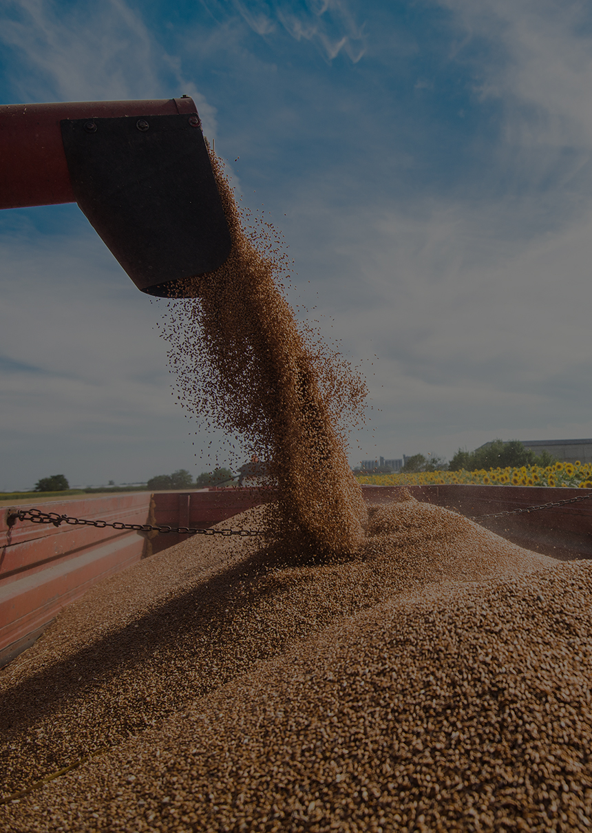 INTER VALLO COMMODITY DMCC