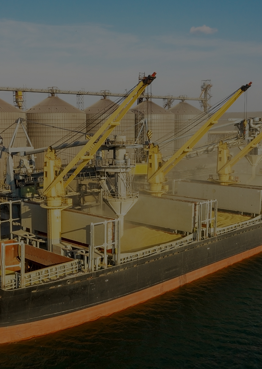 INTER VALLO COMMODITY DMCC