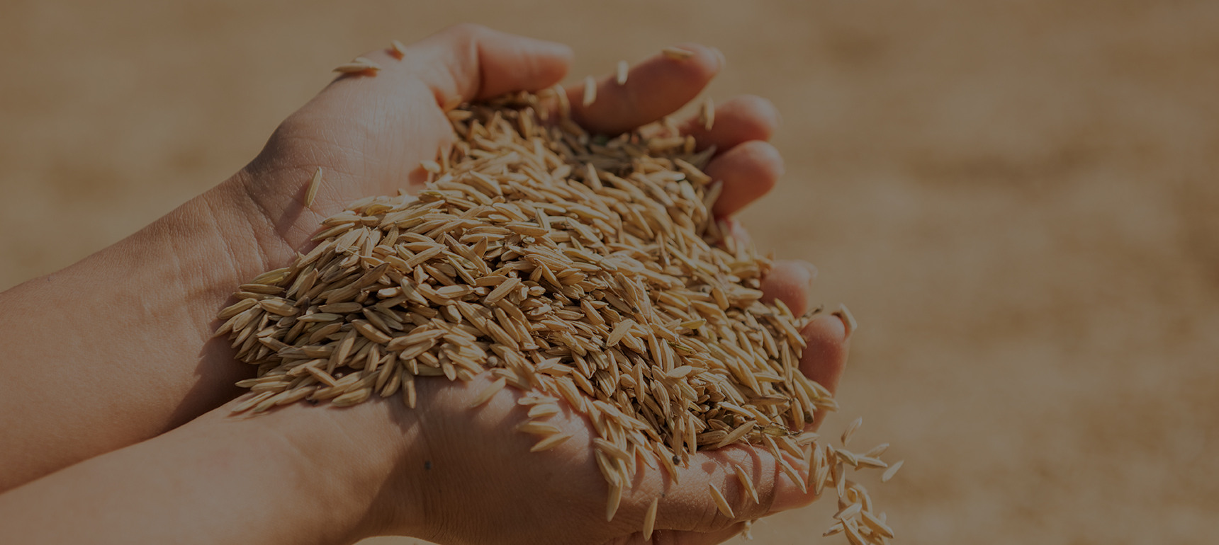 INTER VALLO COMMODITY DMCC