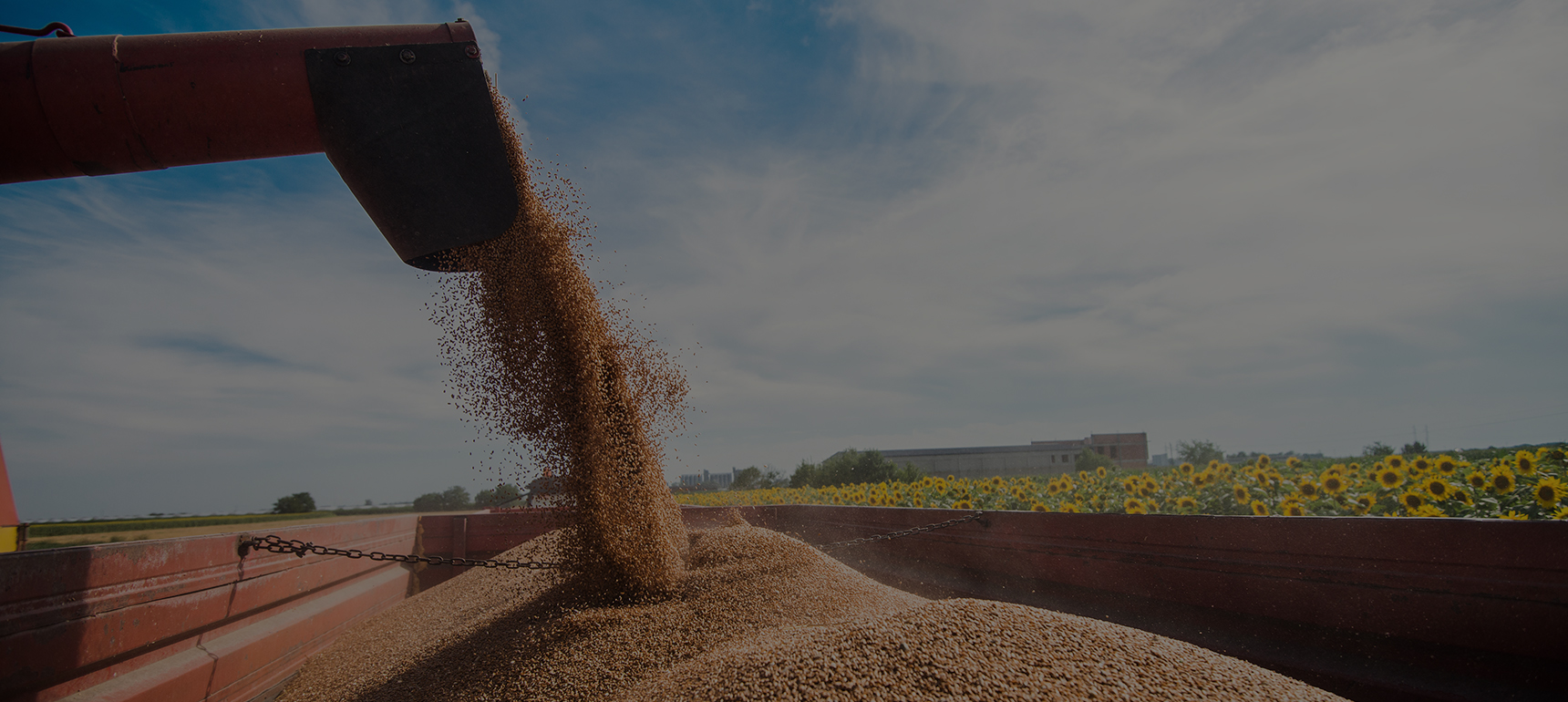 INTER VALLO COMMODITY DMCC
