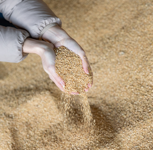 INTER VALLO COMMODITY DMCC